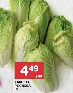 Stokrotka Market Kapusta pekińska oferta