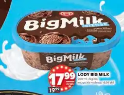 Stokrotka Market Lody Big Milk oferta