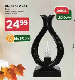 Stokrotka Market ZNICZ 15 WL/4 oferta