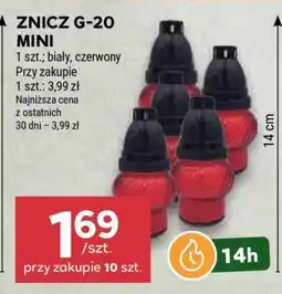 Stokrotka Market ZNICZ G-20 MINI oferta