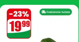 Dino Awokado sztuka Dino oferta