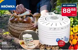 Mrówka Suszarka do grzybów MPM oferta