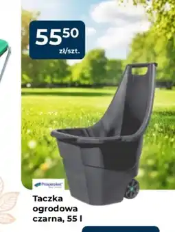 Mrówka Taczka ogrodowa Prospertplast oferta