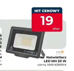 Mrówka Naświetlacz Kobi oferta