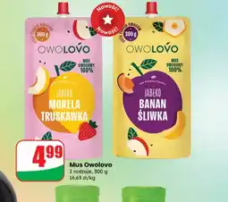 Dino Mus owocowy Owolovo oferta