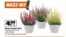 OBI Wrzos Hit oferta