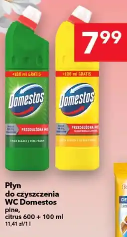 Lewiatan Płyn do czyszczenia wc Domestos oferta
