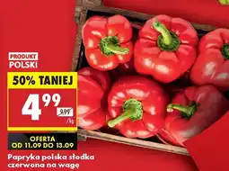 Biedronka Papryka polska słodka czerwona Biedronka oferta