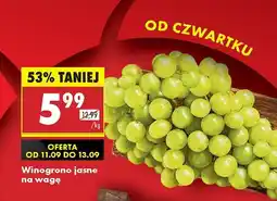 Biedronka Winogrona jasne Biedronka oferta