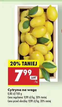 Biedronka Cytryna Biedronka oferta