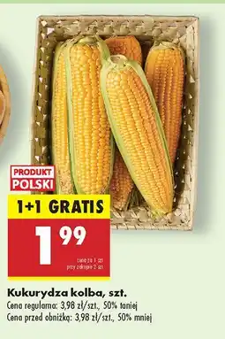 Biedronka Kukurydza kolba Biedronka oferta