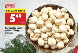 Biedronka Pieczarka mini Biedronka oferta