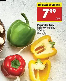 Biedronka Papryka trzy kolory Biedronka oferta