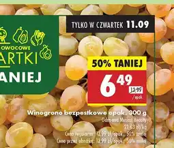 Biedronka Winogrono bezpestkowe Muscat Beauty Biedronka oferta