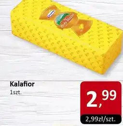 Market Point Ser Złoty Mazur Mlekpol oferta