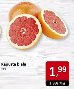 Market Point Kapusta biała 1kg Market Point oferta