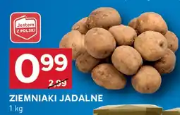 Stokrotka Ziemniaki jadalne Stokrotka oferta