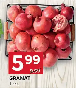 Stokrotka Granat Stokrotka oferta