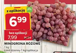 Stokrotka Winogrona różowe Stokrotka oferta