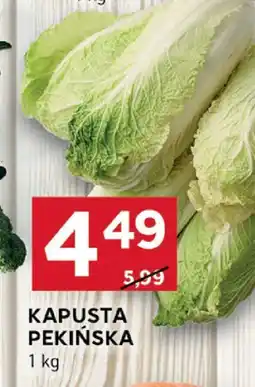 Stokrotka Kapusta pekińska Stokrotka oferta