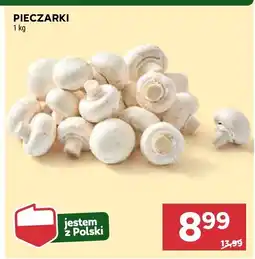 Stokrotka Pieczarki Stokrotka oferta