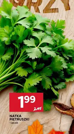 Stokrotka Natka pietruszki Stokrotka oferta