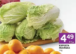Stokrotka Pomarańcze Stokrotka oferta