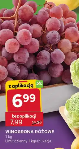 Stokrotka Winogrona różowe Stokrotka oferta