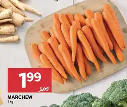 Stokrotka Marchew Stokrotka oferta