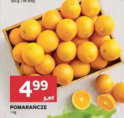 Stokrotka Pomarańcze Stokrotka oferta