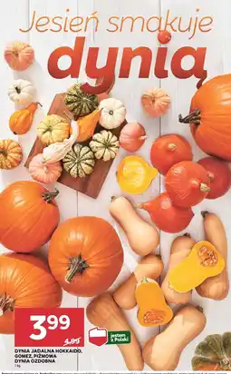 Stokrotka Dynia jadalna Hokkaido, Gomez, Piżmowa, dynia ozdobna Stokrotka oferta