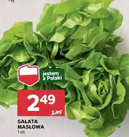 Stokrotka Sałata masłowa Stokrotka oferta