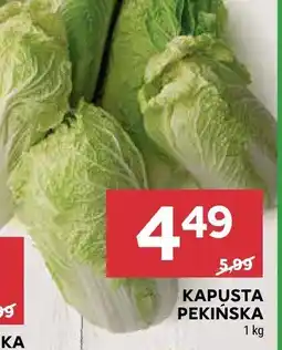 Stokrotka Kapusta pekińska Stokrotka oferta