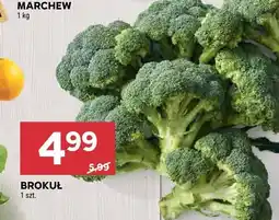 Stokrotka Brokuł Stokrotka oferta