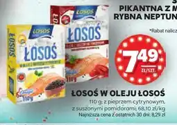 Stokrotka Łosoś w oleju Łosoś oferta