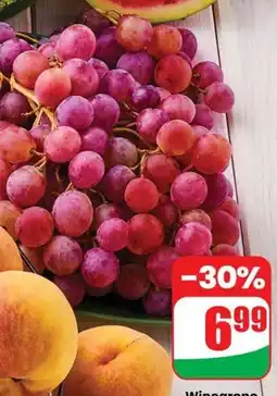 Dino Winogrono ciemne Dino oferta