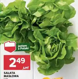 Stokrotka Market Sałata masłowa oferta