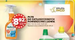 Stokrotka Market Płyn do Zatłuszczonych Powierzchni Ludwik oferta