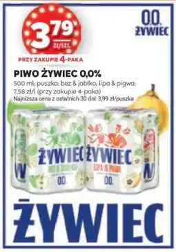 Stokrotka Market Piwo Żywiec 0,0% oferta