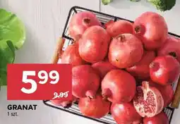 Stokrotka Market Granat oferta