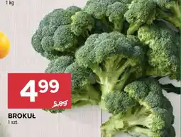 Stokrotka Market Brokuł oferta