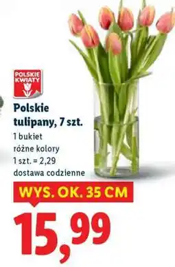 Lidl Polskie tulipany, 7 szt oferta