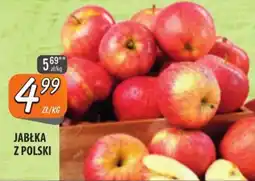 Społem Szczecin Jabłka z polski oferta