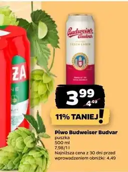 Netto Piwo b: original Budweiser Budvar oferta