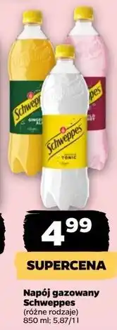 Netto Napój russian wild berry Schweppes oferta