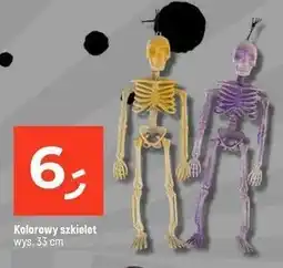 Dealz Szkielet kolorowy oferta