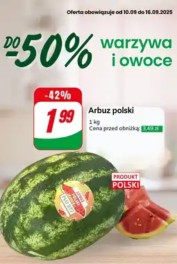 Dino Arbuz polski Dino oferta