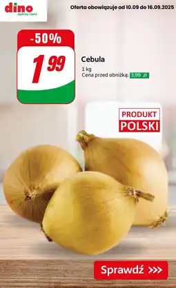 Dino Cebula Dino oferta