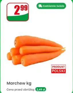 Dino Marchew 1 kg Dino oferta