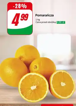 Dino Pomarańcza Dino oferta